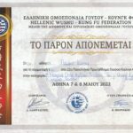 22nd Hellenic Wushu Kung Fu Championship 2022